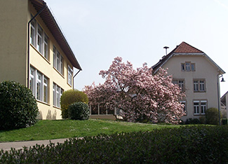 Grundschule Oberlauchringen