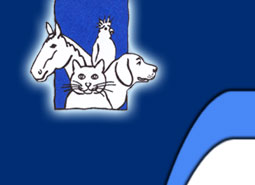 Logo von Steppat Oliver Dr.med.vet.