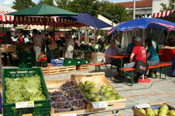 Wochenmarkt in Unterlauchringen
